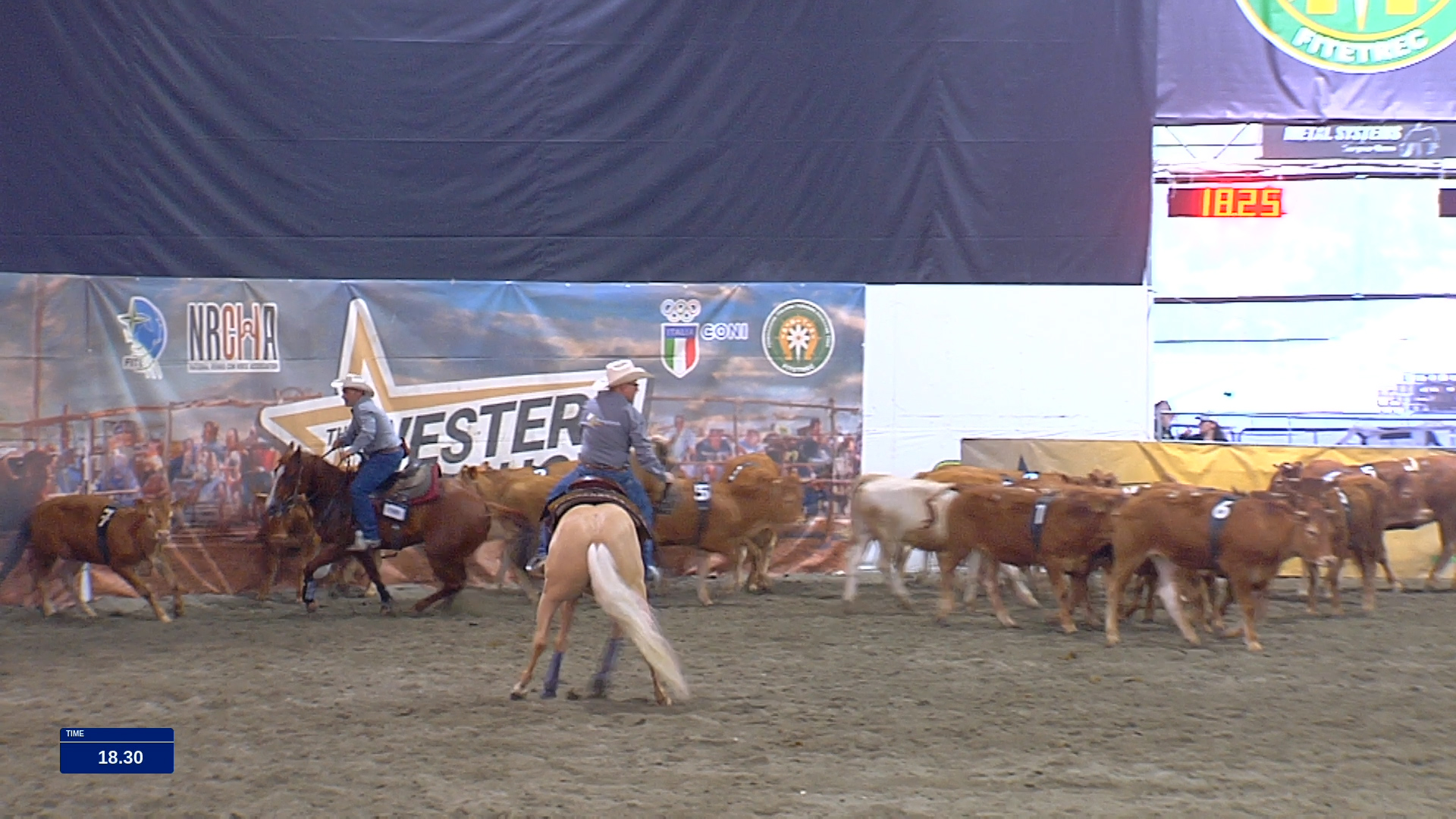 RECAP 2026 WESTERN SHOW SALONE DEL CAVALLO – TP NON PRO #8, GO 1