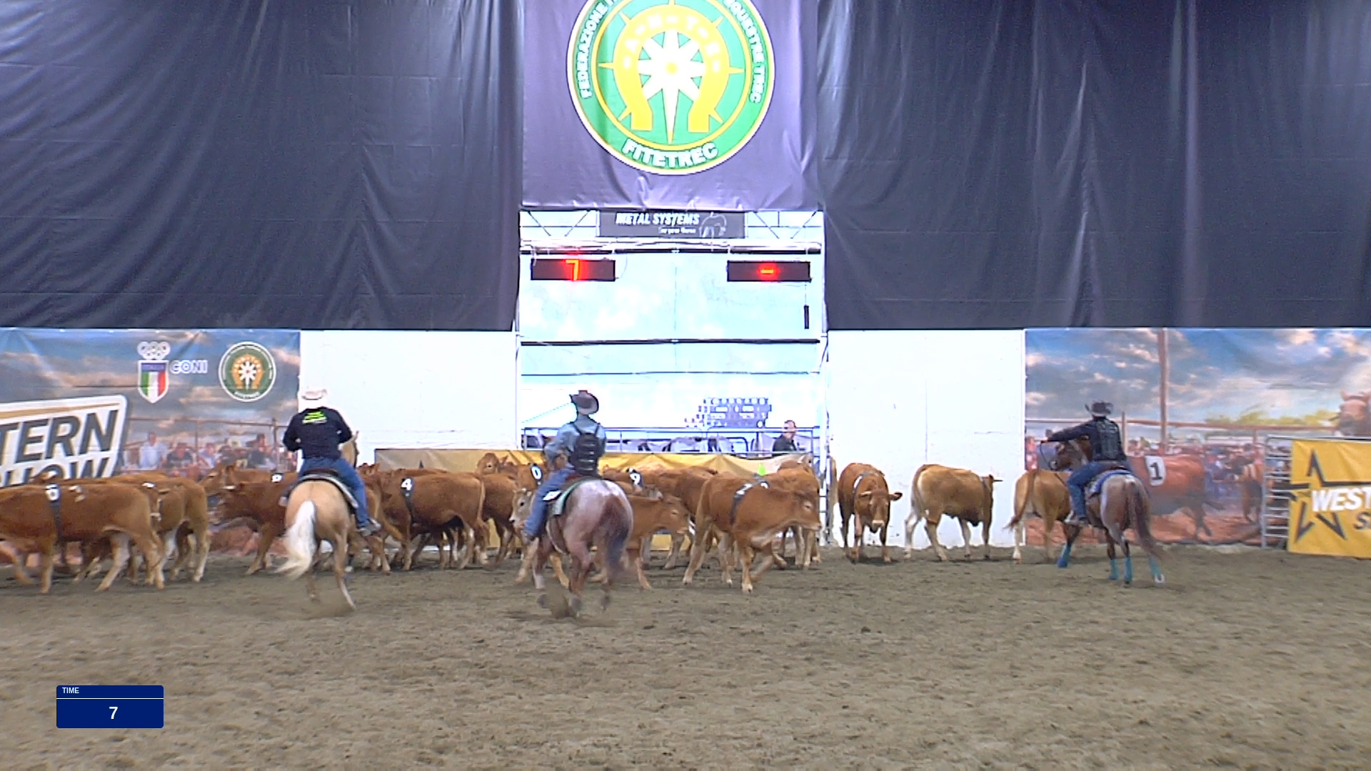 RECAP 2026 WESTERN SHOW SALONE DEL CAVALLO – TP NON PRO #8, GO 2