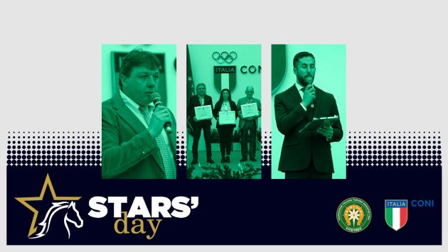 primary collection STARS DAY